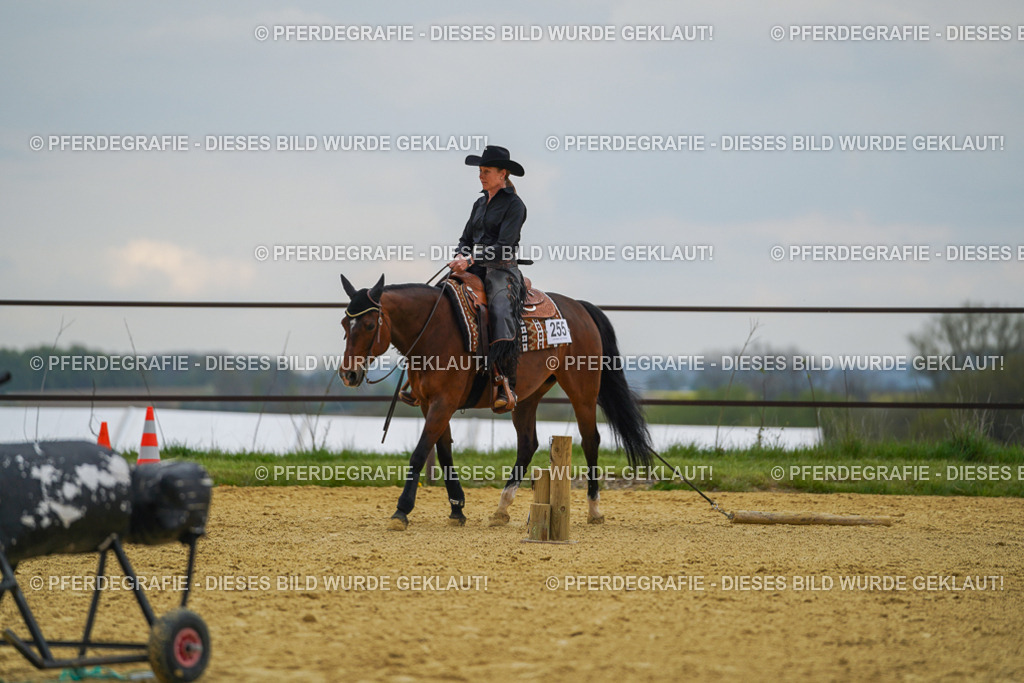 DSC07683 | Pferdegrafie