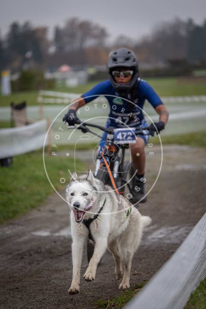 CaniXpix_0L8A1735 | Hundefotografie, Tierfotograf, Pfotenfotografie, Fotoshooting Hund, Hunde Portrait, Hundesport, Hundeportraits, Heideshooting, Hunde, Sportfotograf, Hundefotograf, Turnierhundsport, THS,  - Realisiert mit Pictrs.com