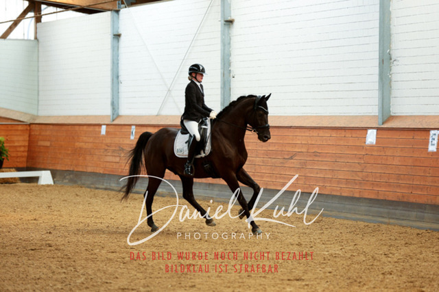 _62_4501 | Turniersportfotografie; Pferdefotografie; Dressurfotografie