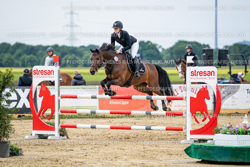 DSC05115 | Pferdegrafie