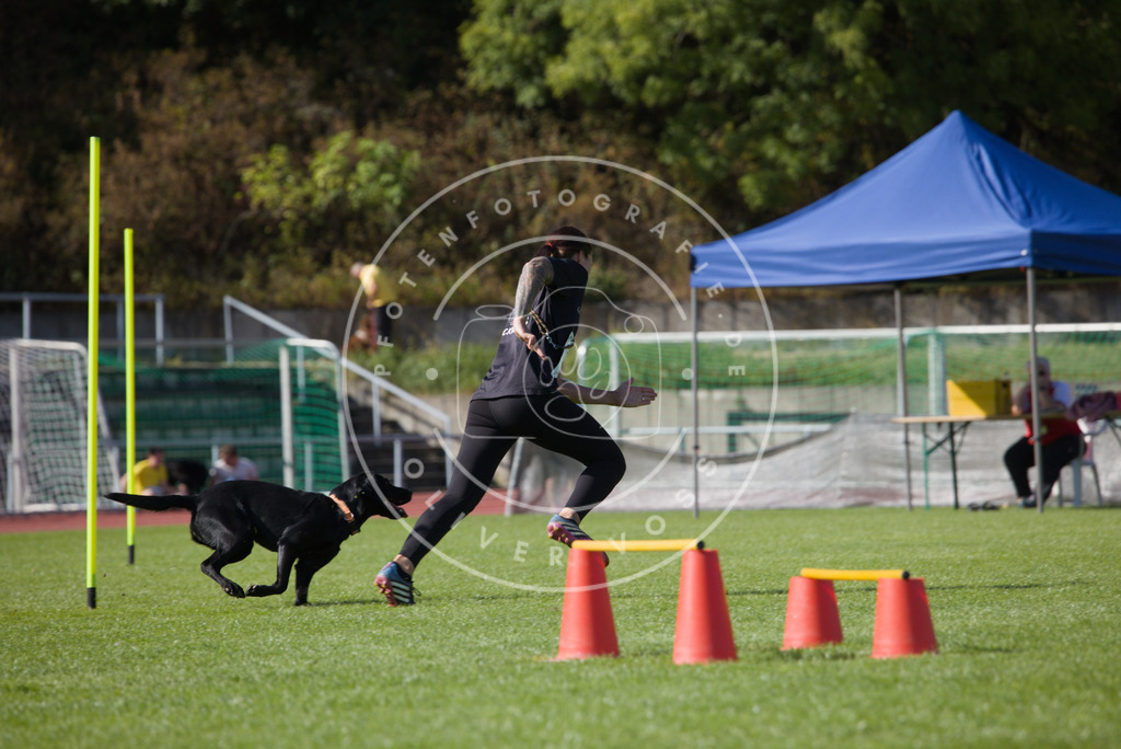 0L8A8584 | Hundefotografie, Tierfotograf, Pfotenfotografie, Fotoshooting Hund, Hunde Portrait, Hundesport, Hundeportraits, Heideshooting, Hunde, Sportfotograf, Hundefotograf, Turnierhundsport, THS,  - Realisiert mit Pictrs.com