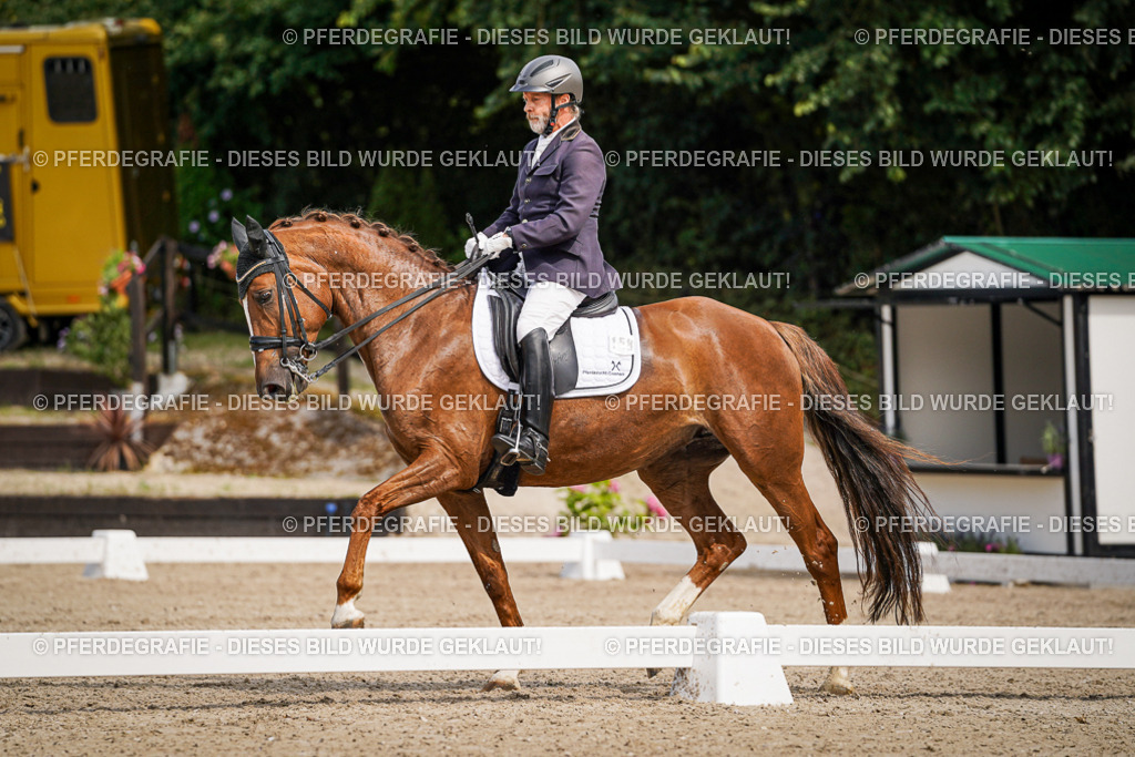 DSC05690 | Pferdegrafie