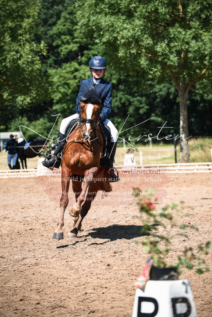 DSC_3548 | Pferde- und Turnierfotografie in Westsachsen. Pferdeportraits, Auftragszeichnungen und intuitive Kunst.