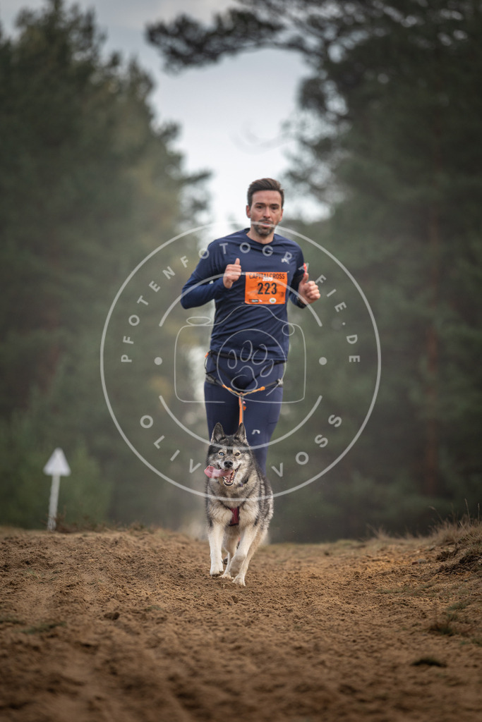 Pfotenfotografie_DV3A5363 | Hundefotografie, Tierfotograf, Pfotenfotografie, Fotoshooting Hund, Hunde Portrait, Hundesport, Hundeportraits, Heideshooting, Hunde, Sportfotograf, Hundefotograf, Turnierhundsport, THS,  - Realisiert mit Pictrs.com