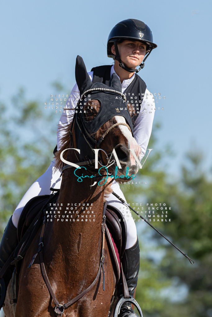 IMG_0959 | s-jay-photography - Realisiert mit Pictrs.com