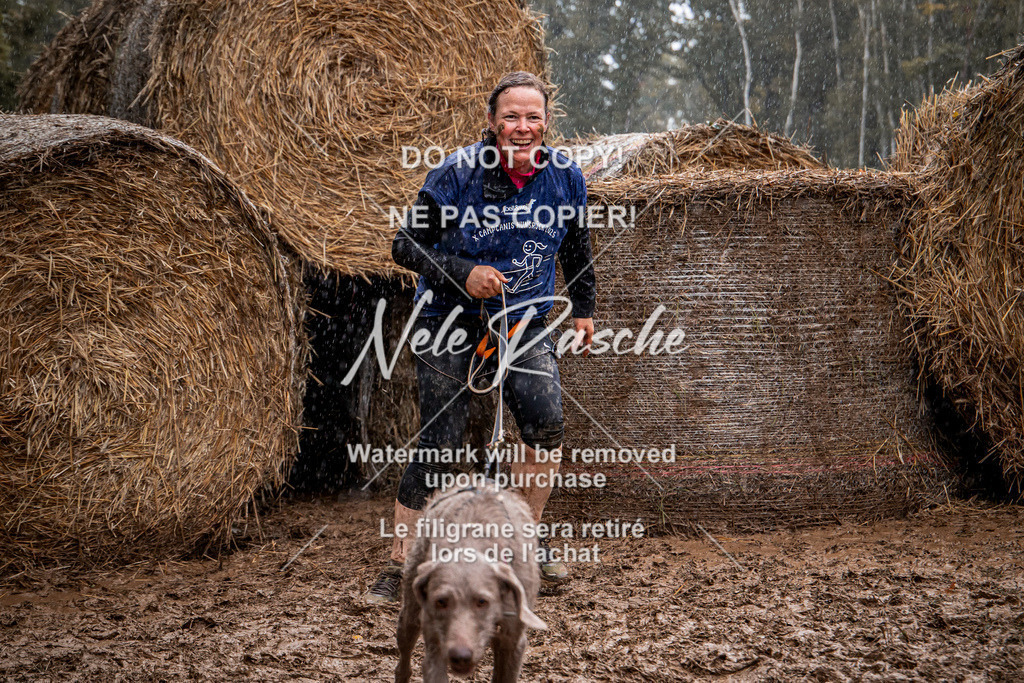 nelerasche_Hunsrück_So09-11_129 | nelerasche