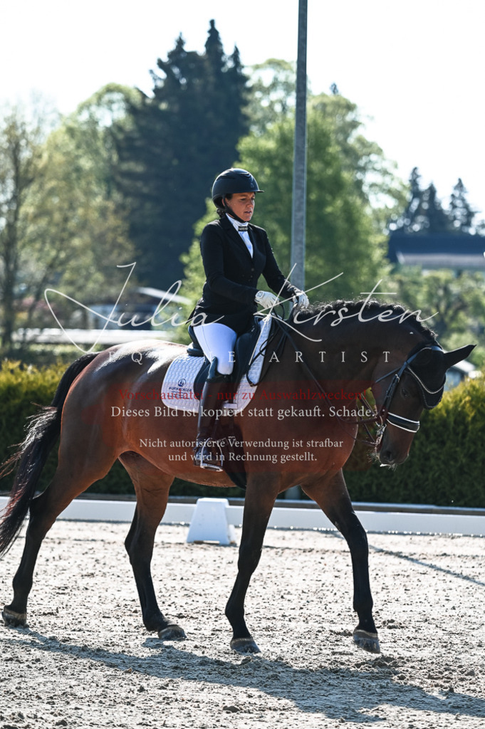 20230514_JK-Röhrsdorf-18-117 | Pferde- und Turnierfotografie in Westsachsen. Pferdeportraits, Auftragszeichnungen und intuitive Kunst.