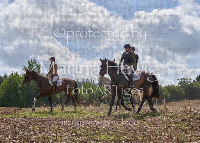_MCH8057_Marina Hewig | Fotografie, FotoArt, PferdesportArt, Pferdesportfotografie, Landschaftsfotografie, Reisefotografie, Reise, Pferde - Realisiert mit Pictrs.com