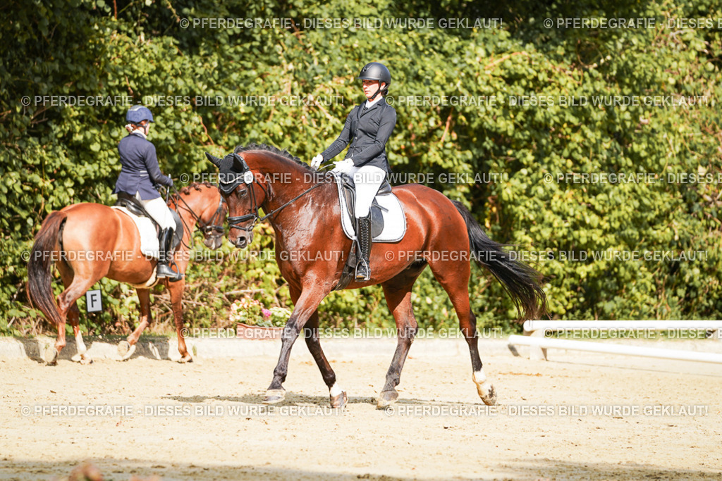 DSC02458 | Pferdegrafie