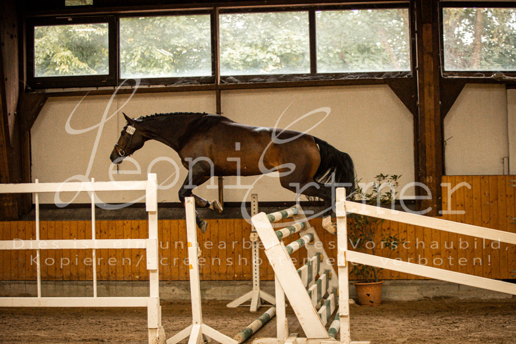 2FS_L00009 | Leoni Ertmer Photography - Realisiert mit Pictrs.com