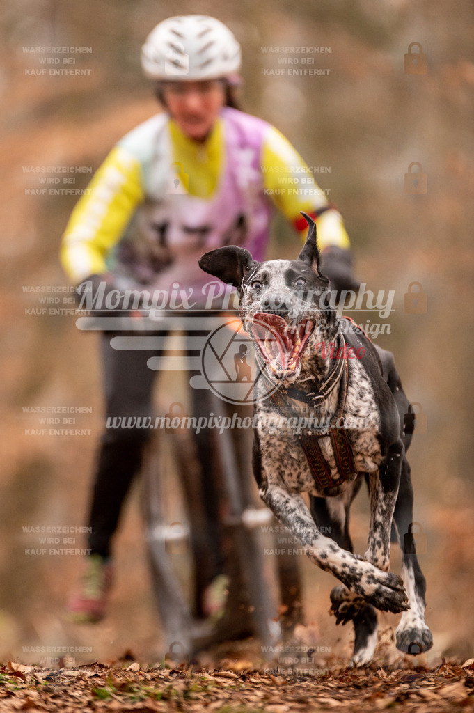 AKM_ST_2023_SAM_Scooter-47 | PayLife