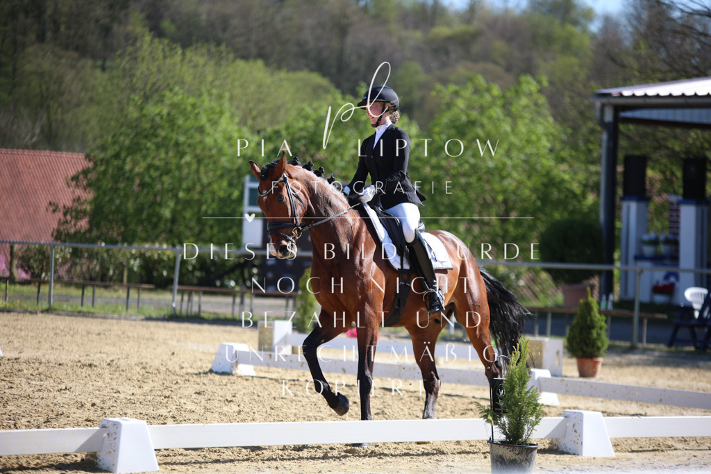 IMGT8951 | pl-fotografie