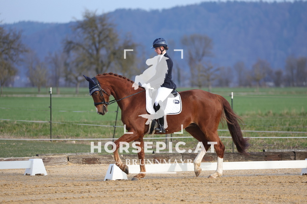 0P6A5918 | Willkommen bei Brunnmayr - Design & Fotografie – Ihrem Spezialisten für Reitturniere und Pferdeveranstaltungen in Oberösterreich, Salzburg und Bayern! Seit über 17 Jahren sind wir leidenschaftlich dabei.