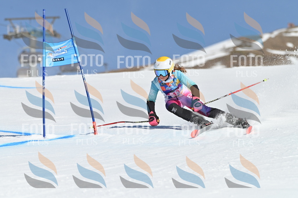 BGV_7815 | holidayphoto