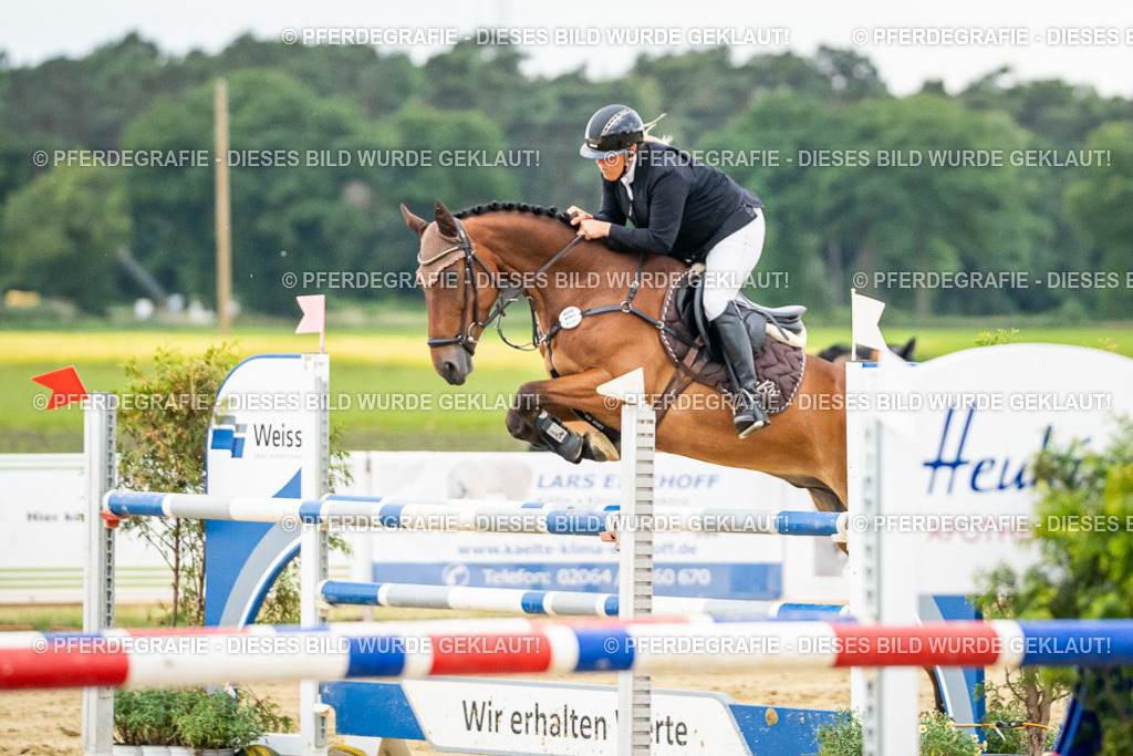 DSC07018 | Pferdegrafie