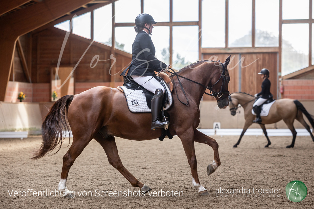 250913_Barop_09_132 | Farbklaex - Turnierfotografie - Realisiert mit Pictrs.com