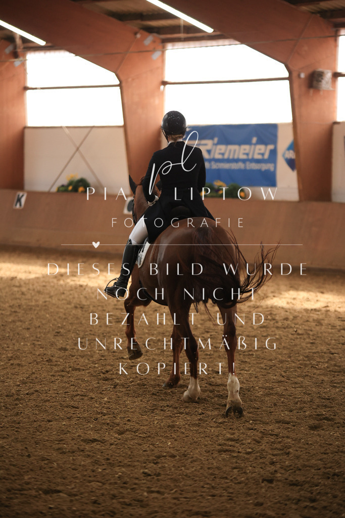 IMGT5136 | pl-fotografie