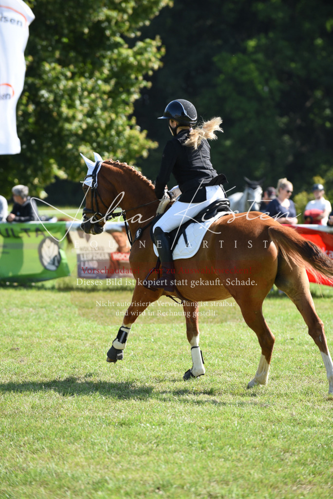 DSC_9114 | Pferde- und Turnierfotografie in Westsachsen. Pferdeportraits, Auftragszeichnungen und intuitive Kunst.
