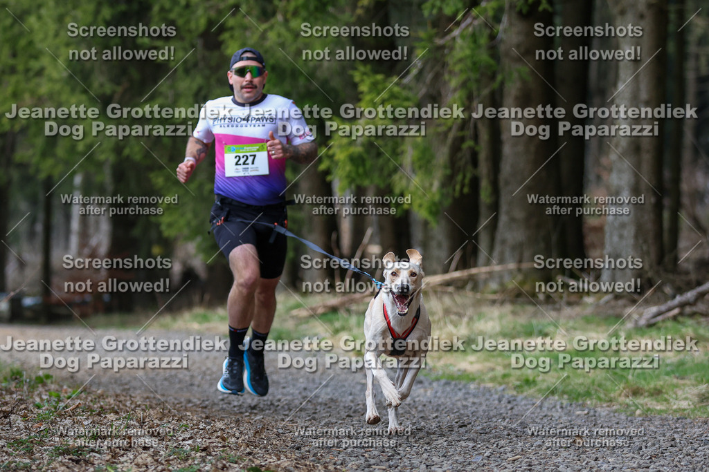 Dog Paparazzi - VCC26-275 | Dog Paparazzi Jeanette Grottendiek Fotografie & Videografie - Realisiert mit Pictrs.com