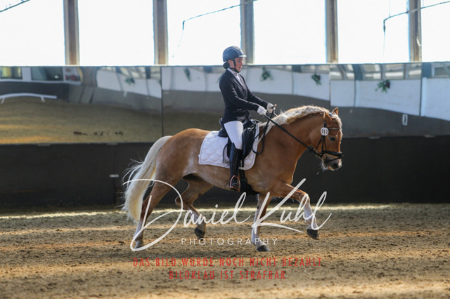 IMG_2926 | Turniersportfotografie; Pferdefotografie; Dressurfotografie