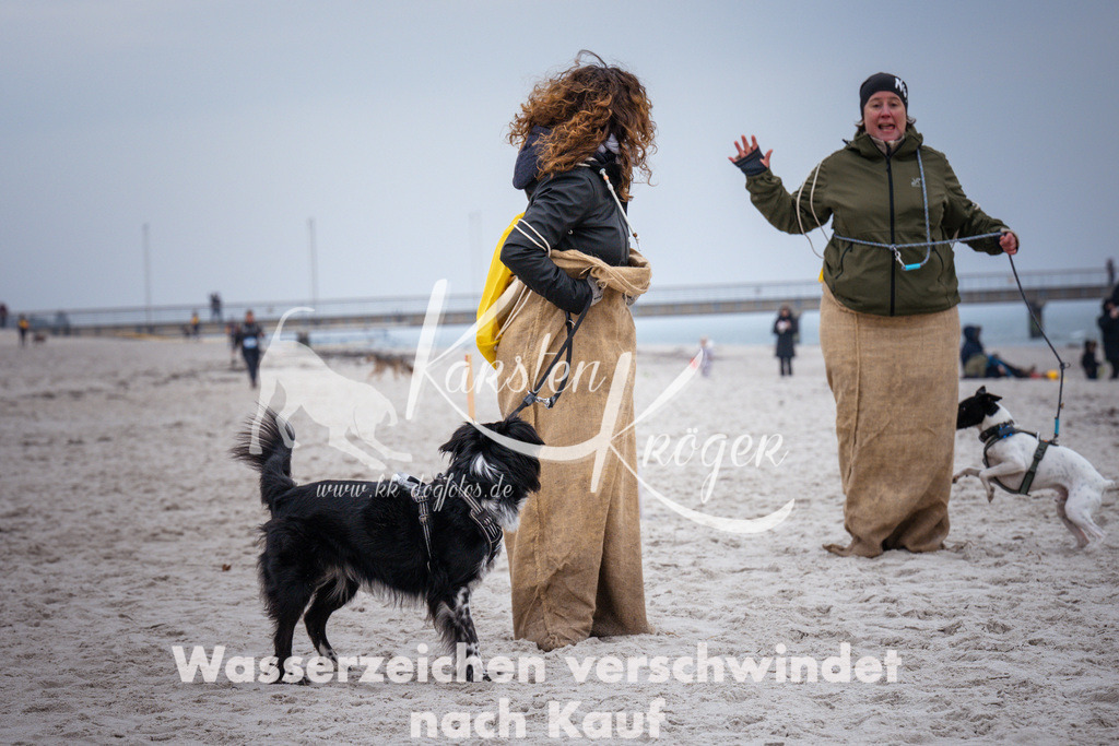 1230_ZZ94549 | kk-dogfotos