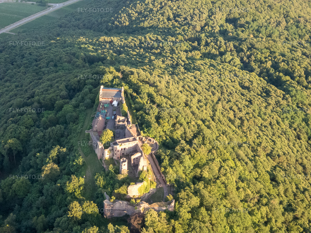 Luftbild: Burgruine Madenburg aus Westen in Eschbach im Bundesland Rheinland-Pfalz in Deutschland. Foto: P7130207.jpg vom 13.07.2017 durch Werner Riehm/FLY-FOTO.de – Madenburg
