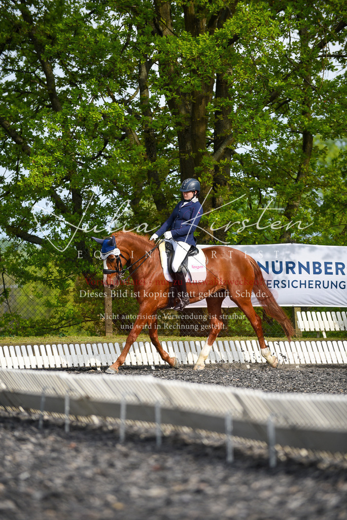20230513_JK-Röhrsdorf-17-390 | Pferde- und Turnierfotografie in Westsachsen. Pferdeportraits, Auftragszeichnungen und intuitive Kunst.
