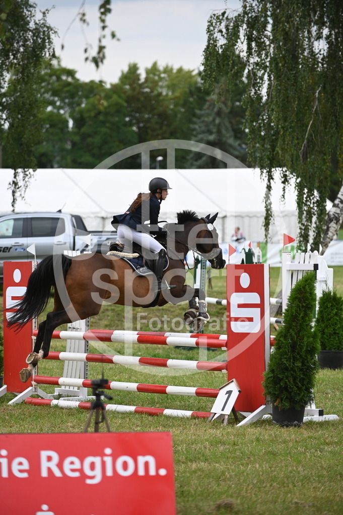 DSC_2268 | sattelsport - Realisiert mit Pictrs.com