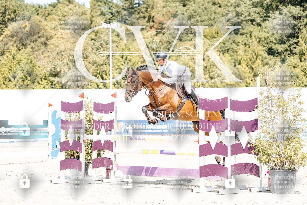 CK900950 | Turnierfotografie Pferdefotografie Trier Rheinland-Pfalz Pferdesport Reitsport Tierfotografie Sportfotografie Pferdevideo Pferdevideografie Equestrianvideography equestrianphotography  - Realisiert mit Pictrs.com