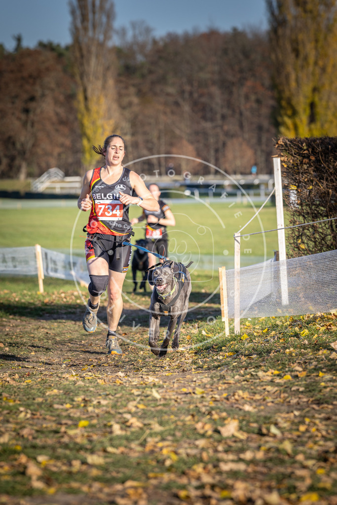 CaniXpix_DV3A2094 | Hundefotografie, Tierfotograf, Pfotenfotografie, Fotoshooting Hund, Hunde Portrait, Hundesport, Hundeportraits, Heideshooting, Hunde, Sportfotograf, Hundefotograf, Turnierhundsport, THS,  - Realisiert mit Pictrs.com