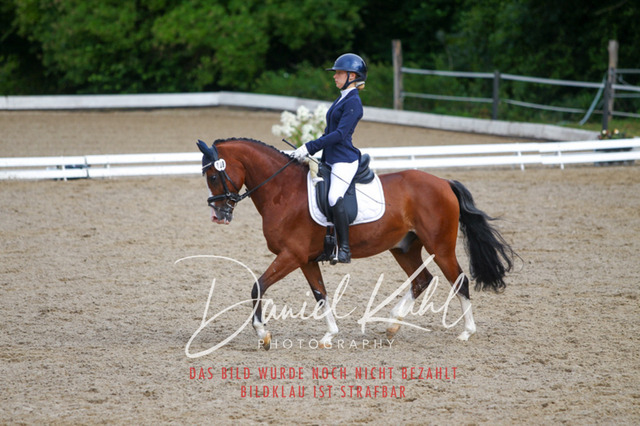 DKP47019 | Turniersportfotografie; Pferdefotografie; Dressurfotografie