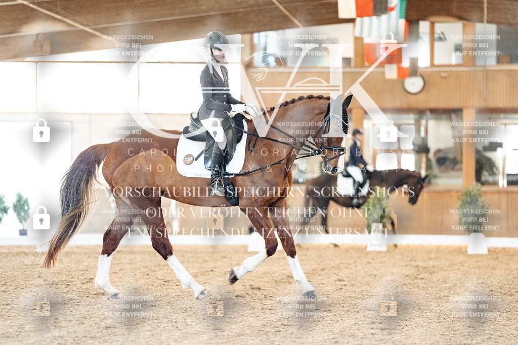 CK906737 | Turnierfotografie Pferdefotografie Trier Rheinland-Pfalz Pferdesport Reitsport Tierfotografie Sportfotografie Pferdevideo Pferdevideografie Equestrianvideography equestrianphotography  - Realisiert mit Pictrs.com