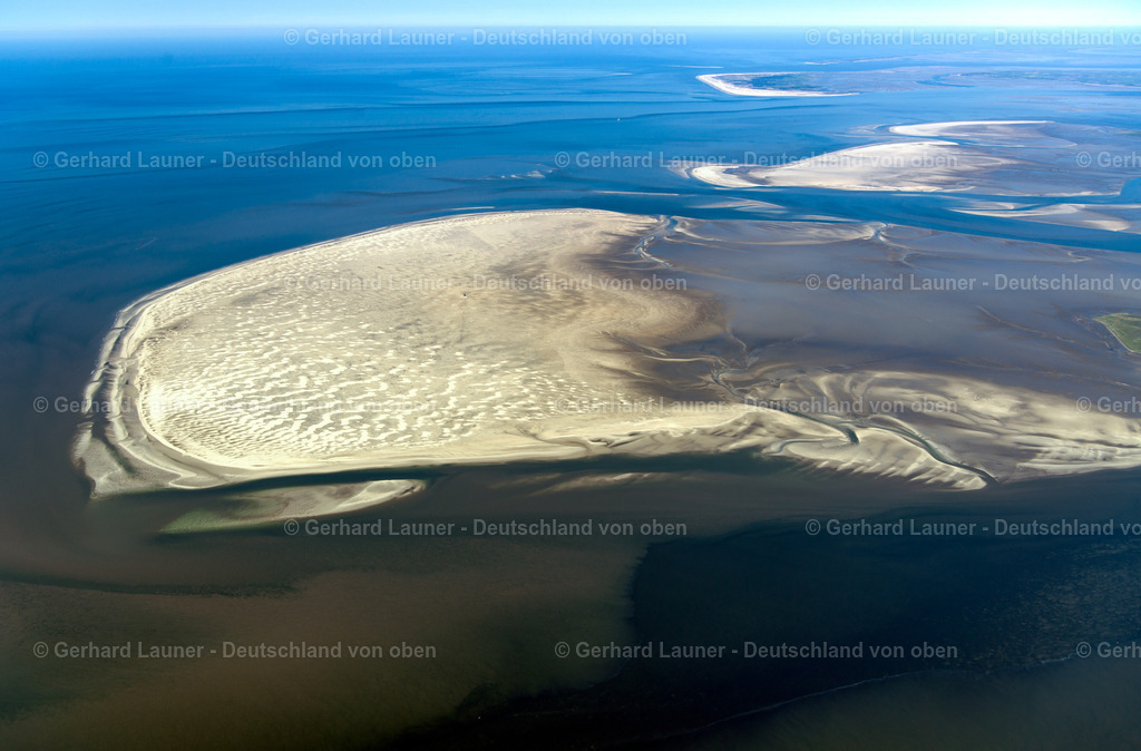 3801568 | Süderoogsand,Nationalpark Schleswig-Holsteinisches Wattenmeer