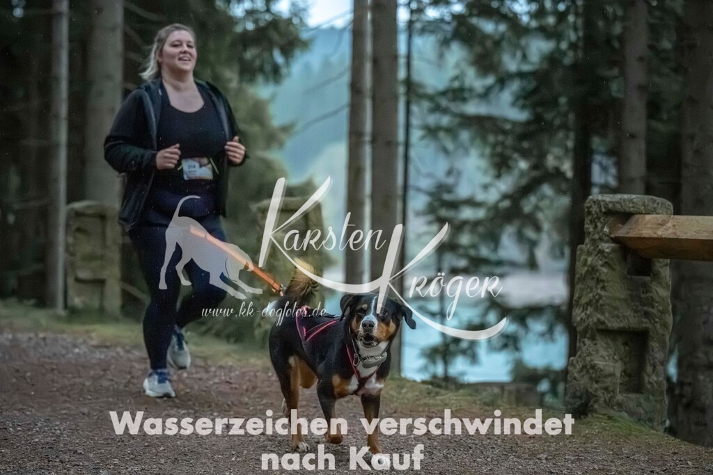 0833_ZZ92015 | kk-dogfotos