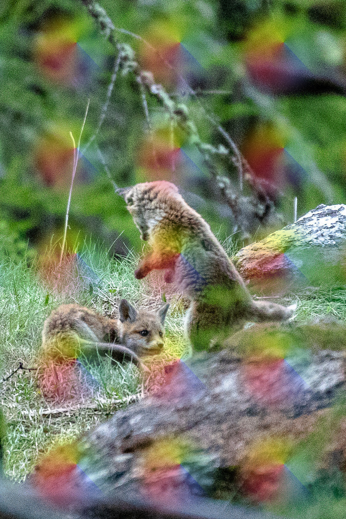 20230602-7J9A6078 | FineArtPrint, Hahnemühle, FeeGalerie, Fee Galerie, Fotokunst, Fotografie, Canonphotography, Bergfoto, Matterhorn, Rimpfischhorn, Allalinhorn, Saas-Fee, Wallis, Valais, Switzerland, Bergfotografie