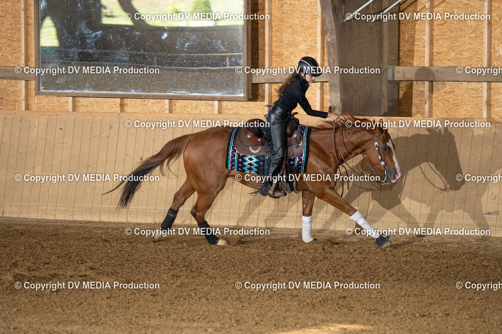 DSC00025 | dv-media-shop - Realisiert mit Pictrs.com