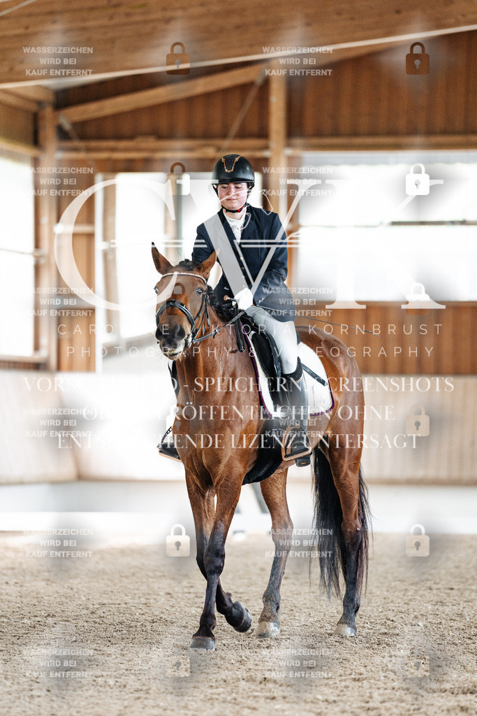 CK900442 | Turnierfotografie Pferdefotografie Trier Rheinland-Pfalz Pferdesport Reitsport Tierfotografie Sportfotografie Pferdevideo Pferdevideografie Equestrianvideography equestrianphotography  - Realisiert mit Pictrs.com