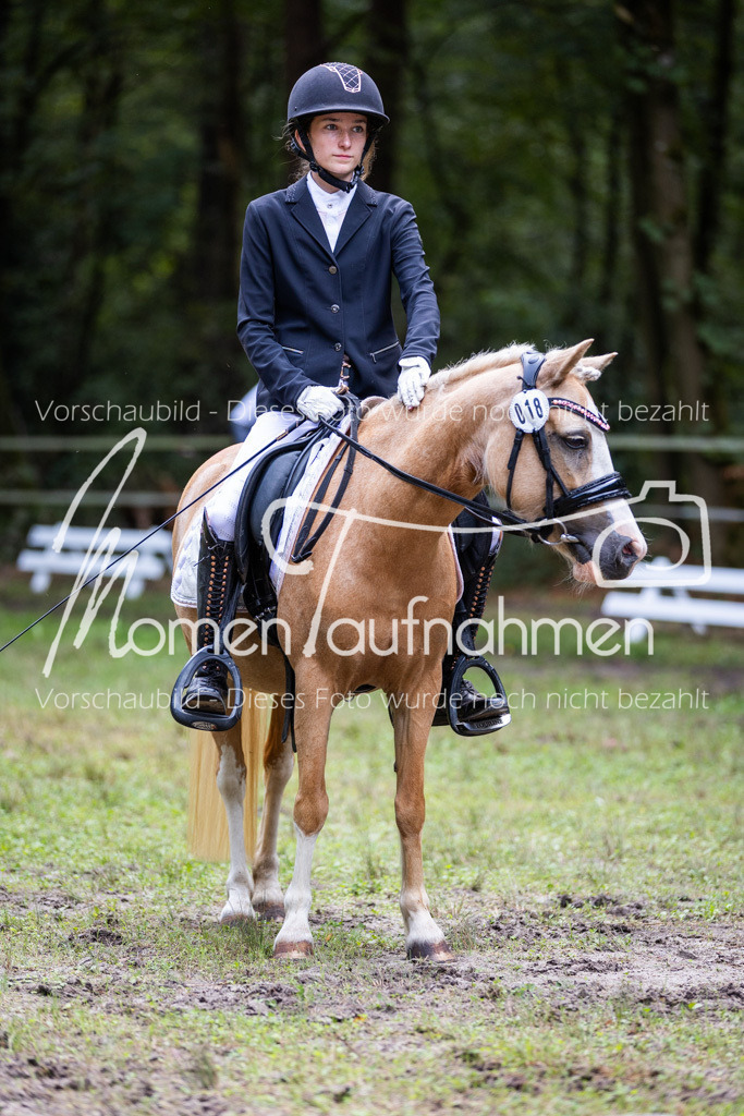 HB-Dressur-WB-011 | MomenTaufnahmen Pferdesportfotos