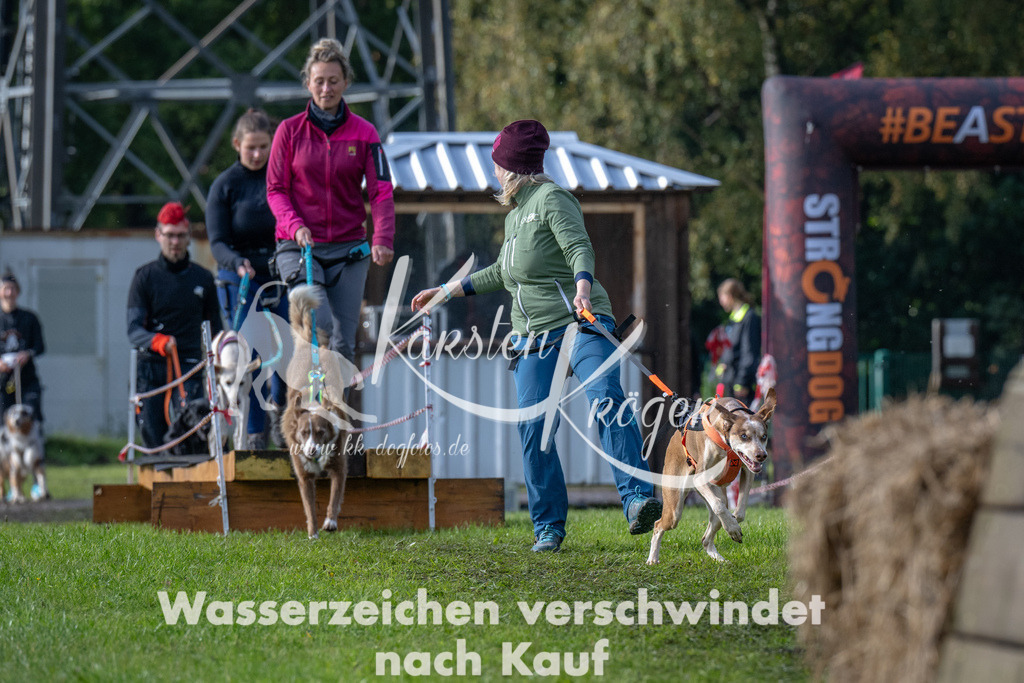 1419-94703 | kk-dogfotos