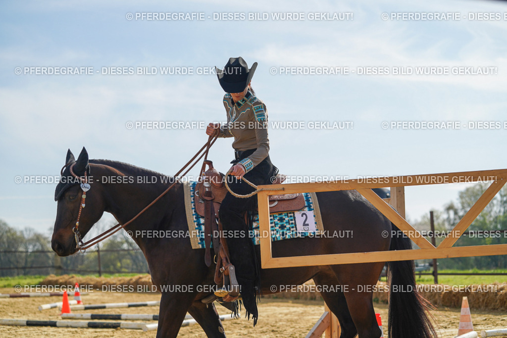 DSC01299 | Pferdegrafie