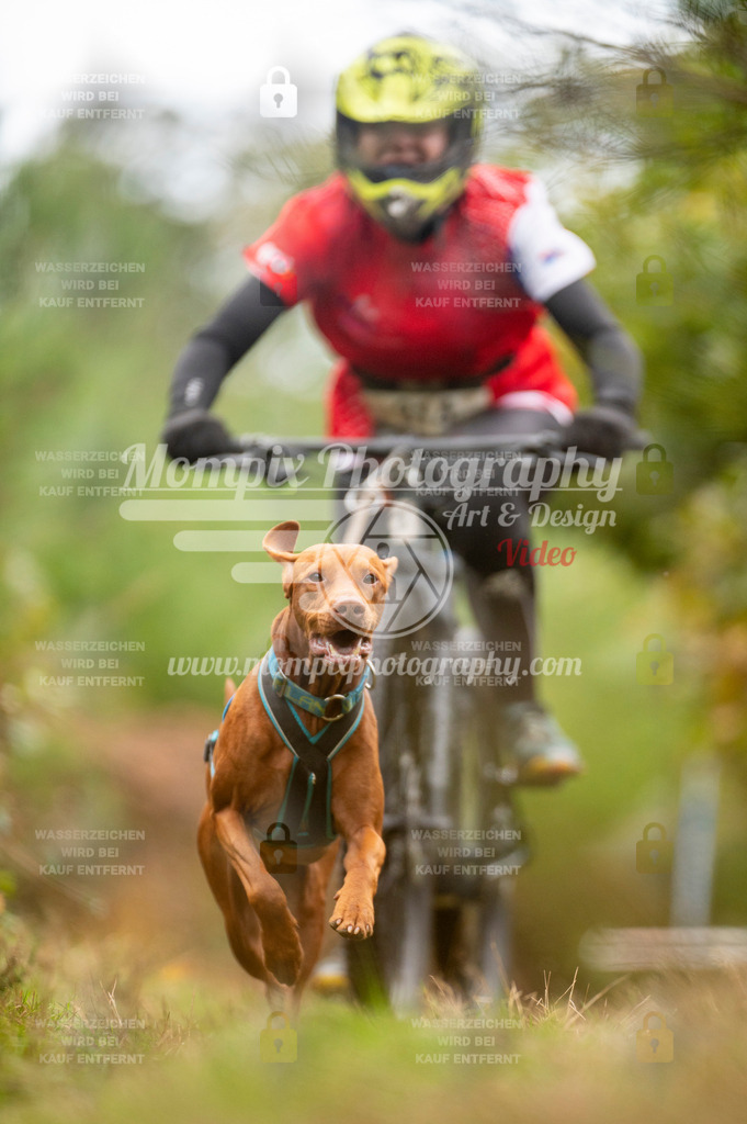 TSB_2023_E5_Bike-71 | PayLife