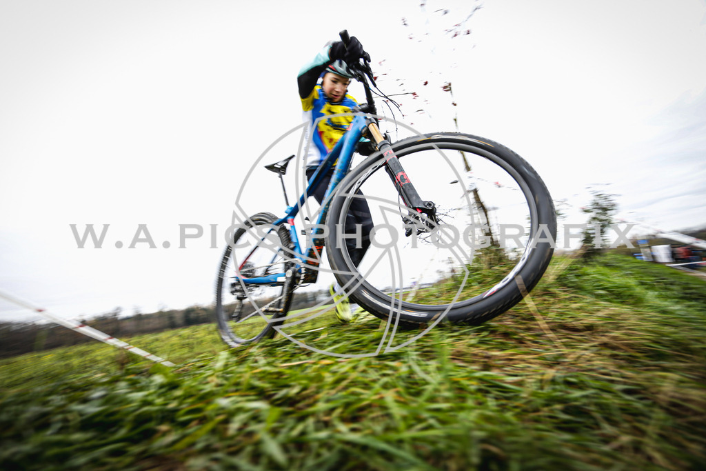..... | AUSTRIA, 24.11.24, 3.Radquerfeldein GP um das Sportzentrum Gunskirchen Image shows: Photo: Wapics / Andreas Willdoner