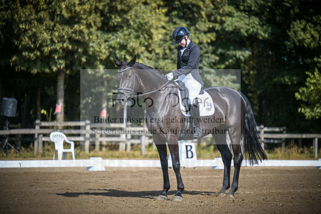 DOS_2798 | Entdecke hochwertige Reitturnierfotos von Foto Oger. Professionell, emotional und authentisch – jetzt Lieblingsmomente im Shop bestellen.Deutschlandweite Turnierfotografie. - Realisiert mit Pictrs.com