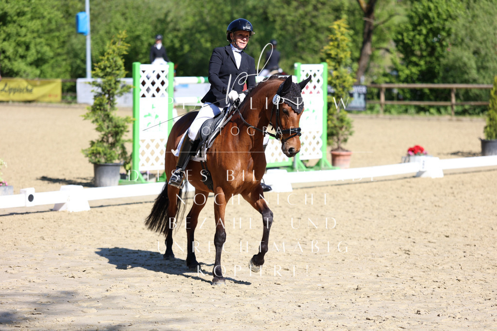 IMGT0484 | pl-fotografie