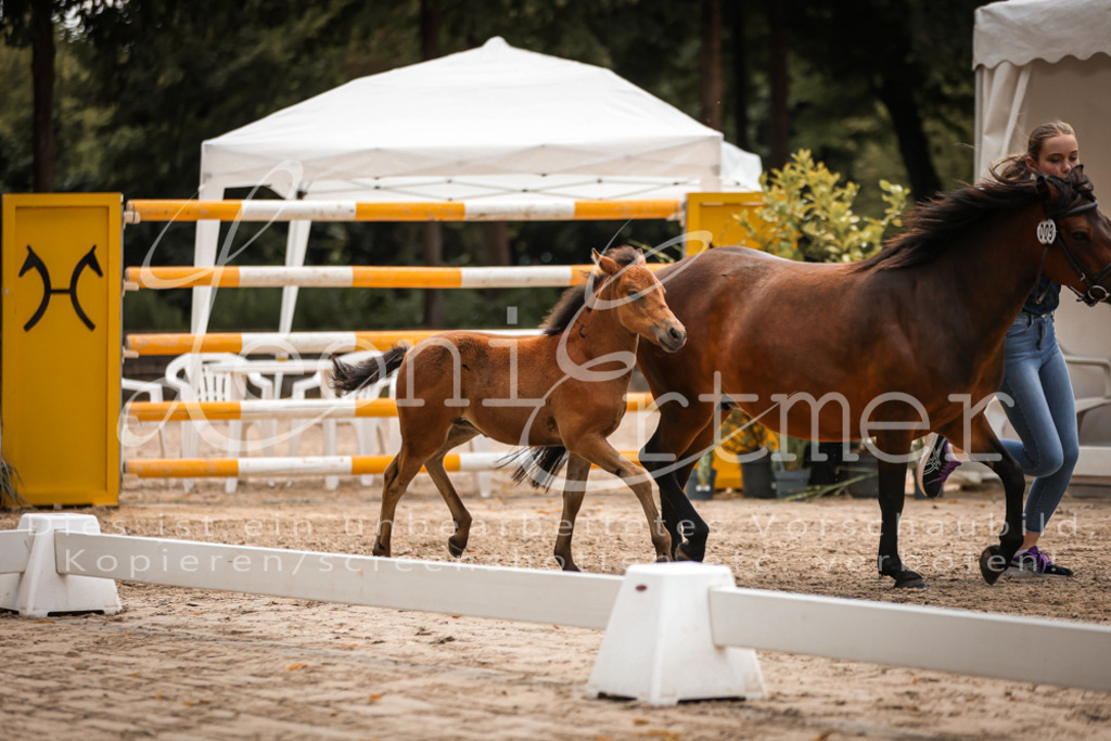 02.DoSR00069 | Leoni Ertmer Photography - Realisiert mit Pictrs.com