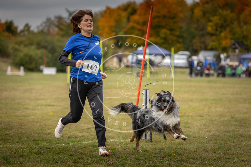 Pfotenfotografie_DV3A6027 | Hundefotografie, Tierfotograf, Pfotenfotografie, Fotoshooting Hund, Hunde Portrait, Hundesport, Hundeportraits, Heideshooting, Hunde, Sportfotograf, Hundefotograf, Turnierhundsport, THS,  - Realisiert mit Pictrs.com