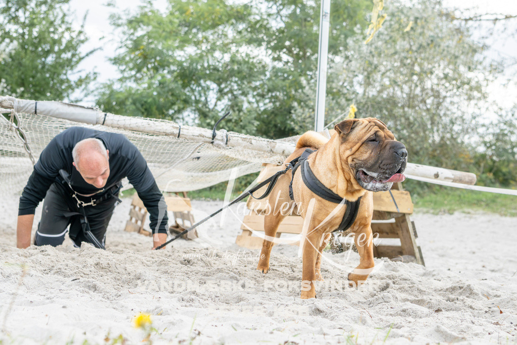 1511_ZZ93528 | kk-dogfotos