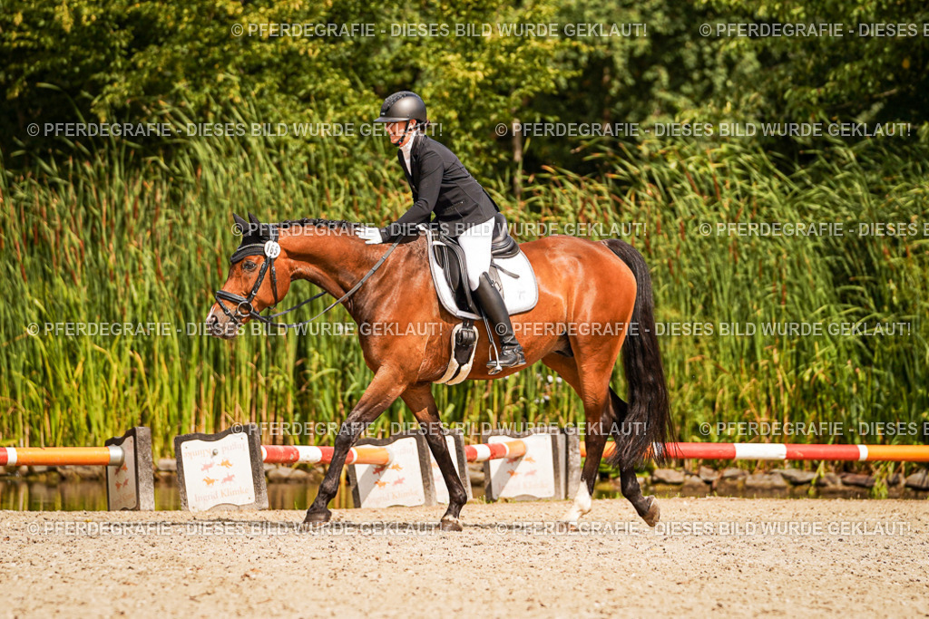 DSC01768 | Pferdegrafie