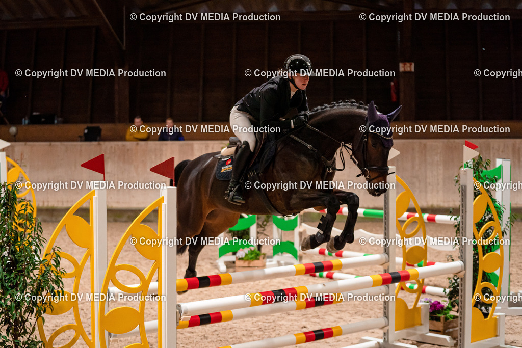 Springen Tag 1-156 | dv-media-shop - Realisiert mit Pictrs.com