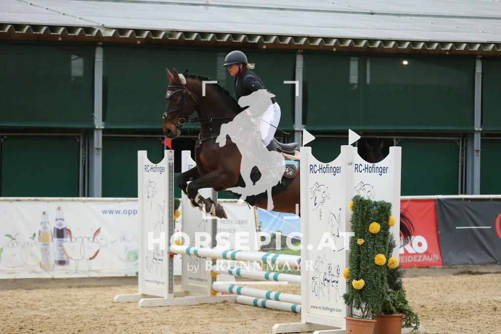 DL2Q5135 | Willkommen bei Brunnmayr - Design & Fotografie – Ihrem Spezialisten für Reitturniere und Pferdeveranstaltungen in Oberösterreich, Salzburg und Bayern! Seit über 17 Jahren sind wir leidenschaftlich dabei.